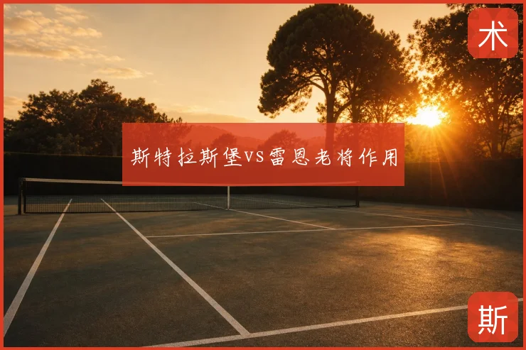 斯特拉斯堡vs雷恩老将作用